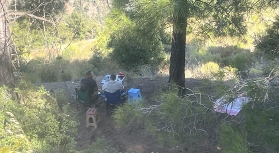 Ormanda piknik yapan 4 kişiye para cezası