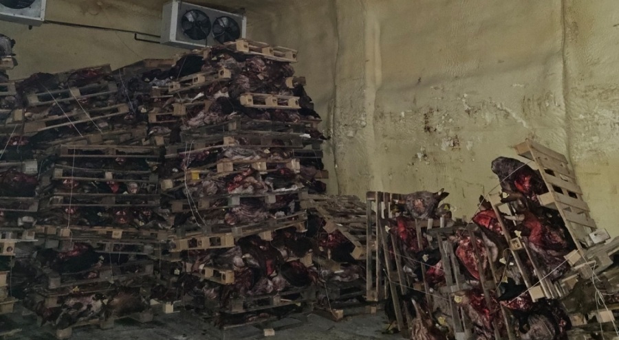Gemlik'te hijyen kurallarına aykırı et depolayan ruhsatsız işletme mühürlendi