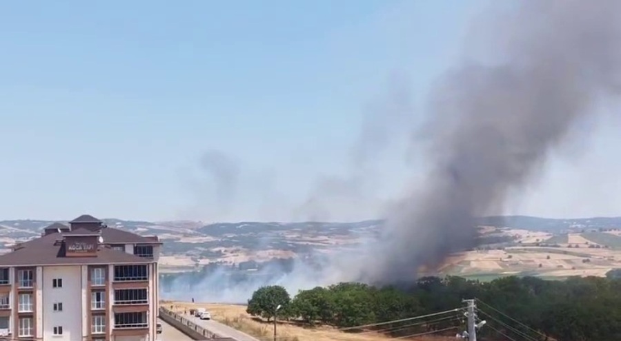Bursa'da anız yangını!