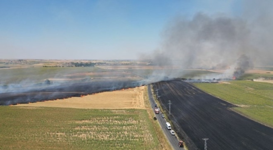 Tekirdağ'da tarım alanında çıkan yangın söndürüldü