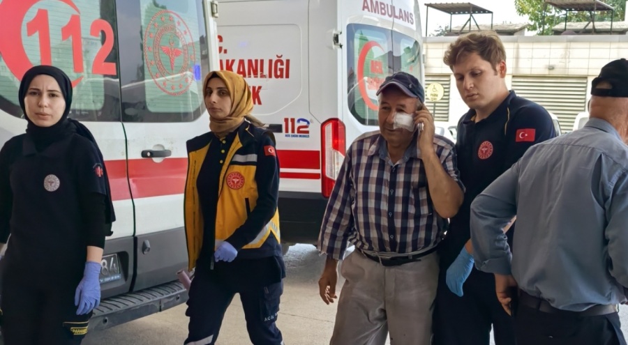 Bursa'da kendini serinletmeyen bahçıvanı darp etti