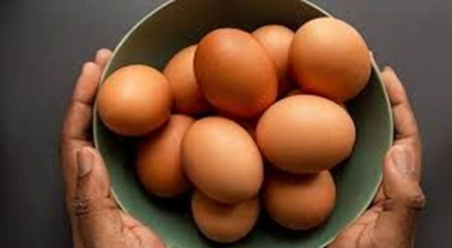 Yumurta ihracatına önlem