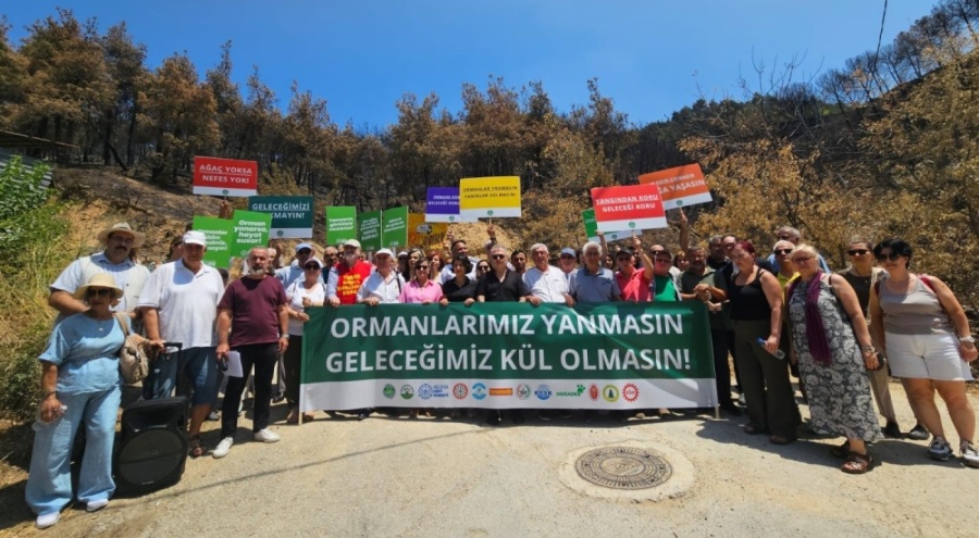 Bursa'dan orman yangınlarına karşı acil önlem çağrısı: "Yunuseli Havaalanı yangın söndürme hava üssü olmalı"