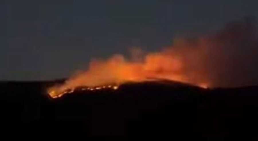 Çankırı'da orman yangını