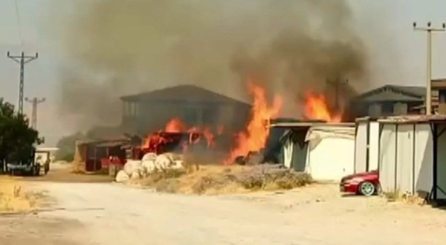 Kahramanmaraş'ta samanlık yangını korkuttu