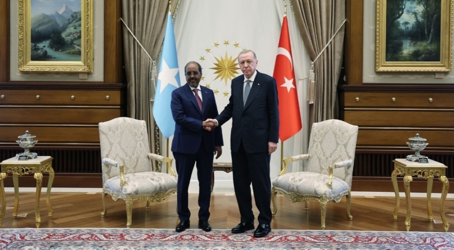 Cumhurbaşkanı Erdoğan, Somali Cumhurbaşkanı Mahmud ile bir araya geldi