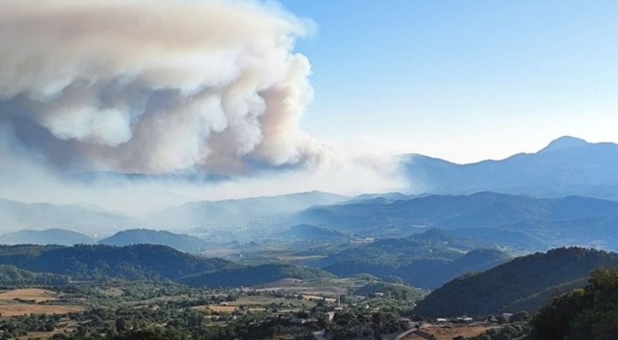 Suriye'deki orman yangını Hatay Yayladağı'na ulaştı