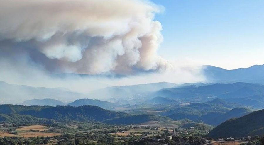 AFAD'dan Hatay'daki orman yangınlarına ilişkin açıklama