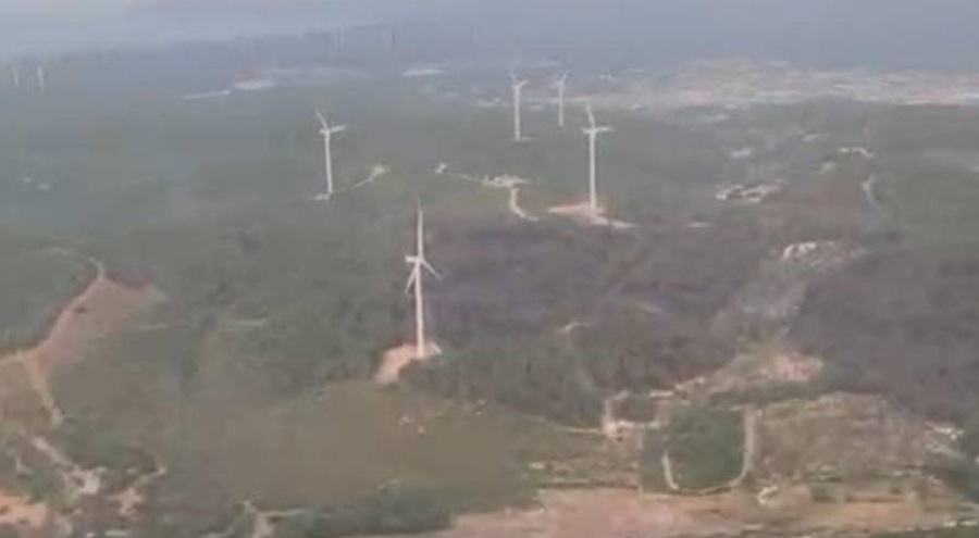 İzmir Urla'daki orman yangını sürüyor!