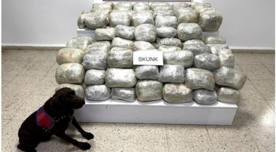 Uyuşturucu operasyonunda 70 kilo skunk ele geçirildi
