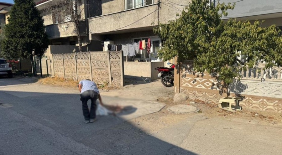 Tartıştığı babasını pompalı tüfekle vurdu