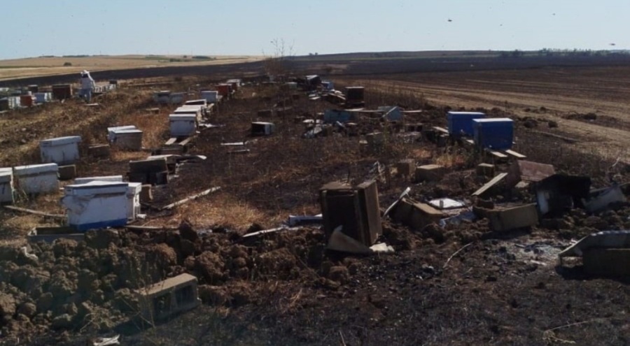 Tekirdağ'da anız yangını 400 arı kovanını kül etti