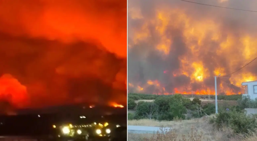 Tekirdağ'daki orman yangını yerleşim alanlarını tehdit ediyor