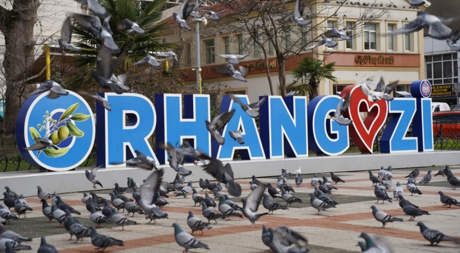 Bursa Orhangazi'de belediyeden arsa, tarla, zeytinlik ve araç satışı ihalesi