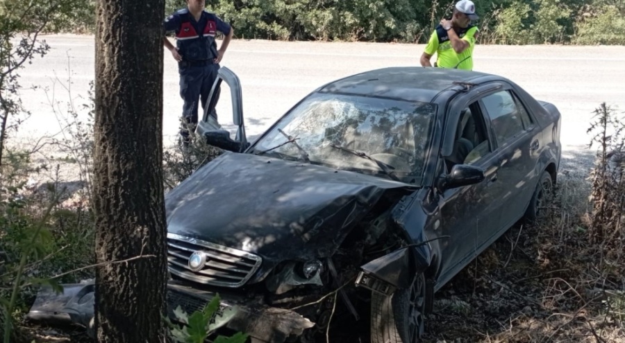 Bursa'da ağaca çarpan otomobildeki 2 kişi yaralandı