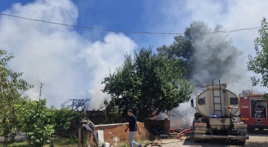 Çıkan yangında 7 büyükbaş hayvan öldü