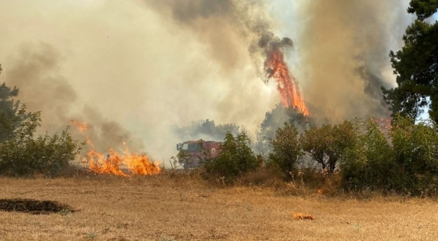 Çanakkale'deki orman yangını kontrol altında