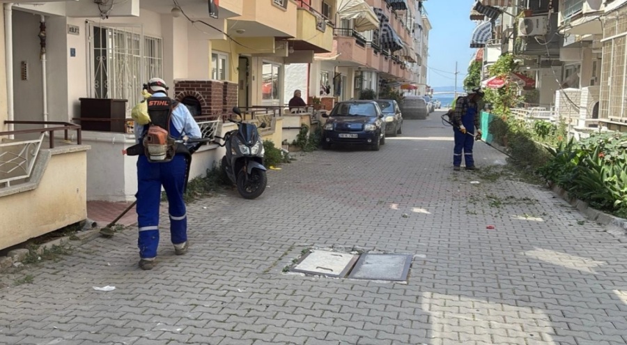 Gemlik Kumla'da kapsamlı temizlik