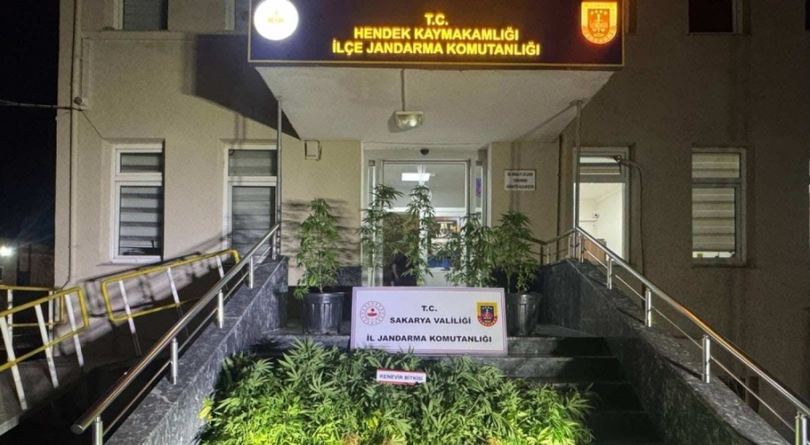 Jandarma uyuşturucuya geçit vermiyor: 1 tutuklama