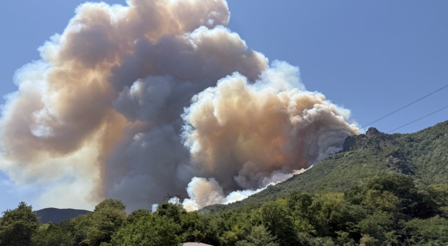 Geyve'de ikinci orman yangını