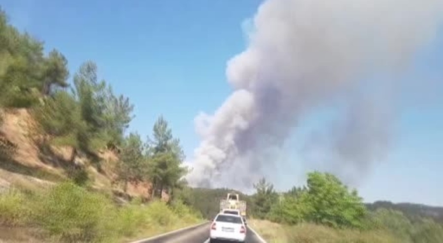 Karabük'te orman yangını çıktı, ekipler sevk edildi