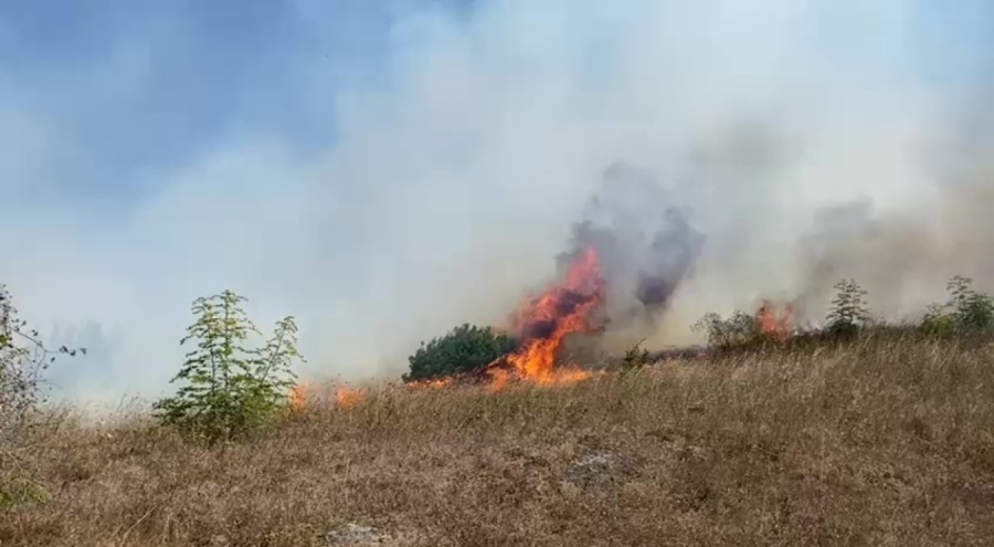 Sakarya'da makilik alanda yangın
