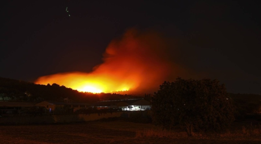 Türkiye Ormancılar Derneği Başkanı Özkara: Orman yangınları 6 saatte Hiroşima'daki atom bombasına...