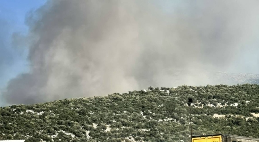 Manisa'da orman yangını!