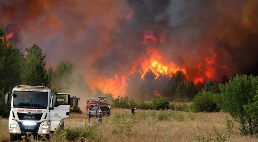 Altı noktada orman yangınları sürüyor: Eskişehir, Sakarya ve Bilecik'te son durum ne?