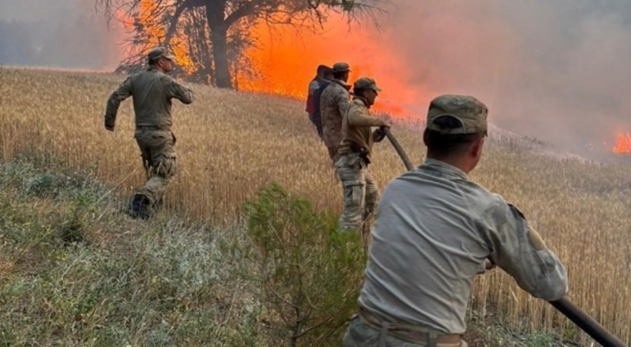 Orman yangınları neden can alıyor?