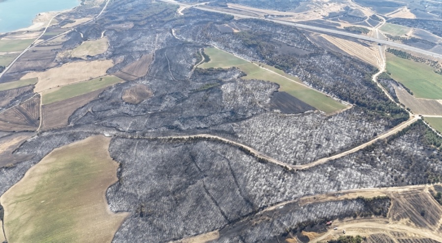 Çanakkale'de 119 futbol sahası büyüklüğünde alan yandı