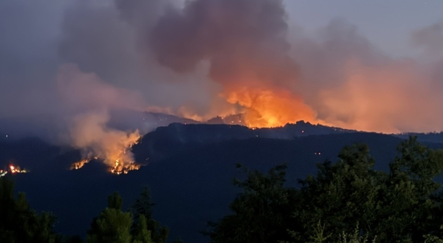 Arama kurtarma ekibi lideri, orman şehitlerinin son anlarını anlattı