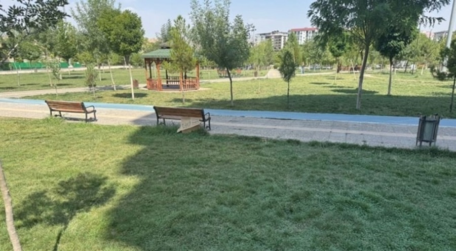 Siirt'te sıcağın etkisiyle bir kadın bayıldı