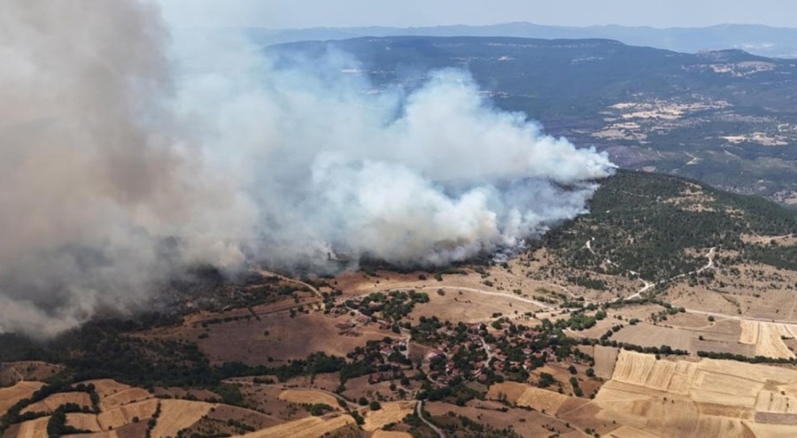 Karabük'te orman yangını!
