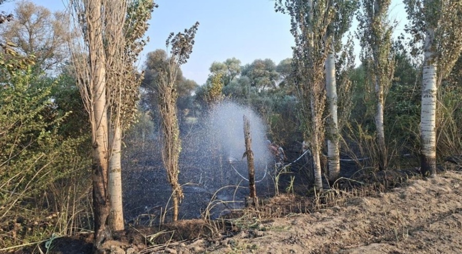 Kütahya'da yangın! 8 dönüm arazi küle döndü