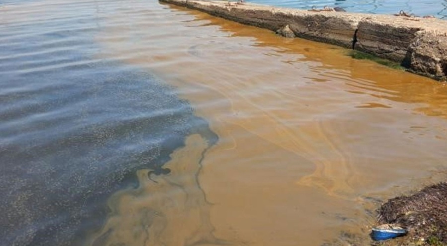 Yalova'da deniz kirliliğine sebep olan fabrikaya inceleme