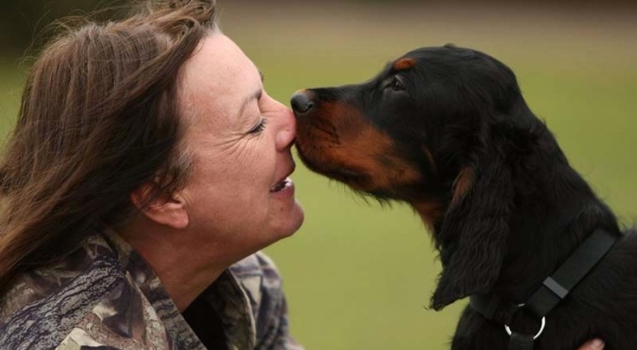 New York'ta köpekler yasal olarak aile üyesi kabul edilecek