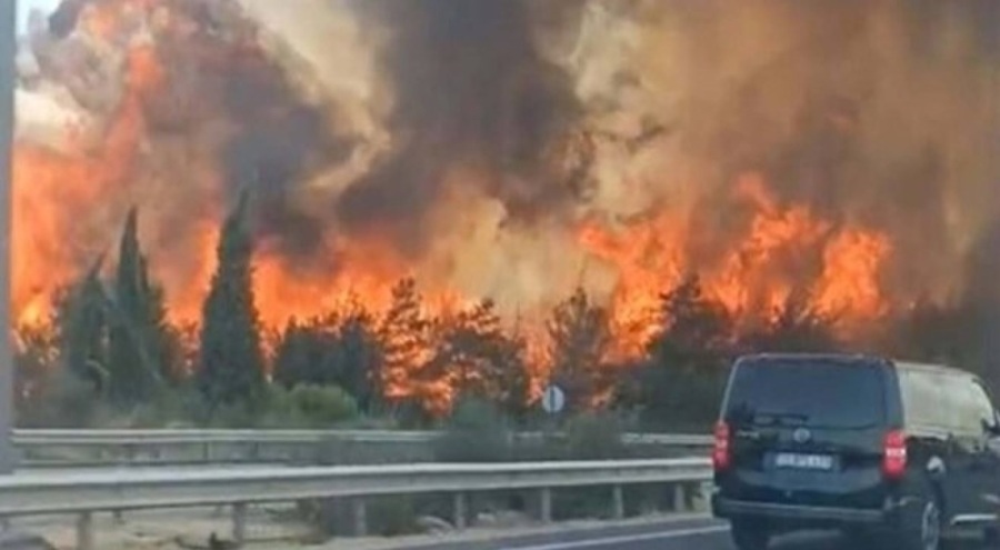 Yangınlarla mücadele için "Risk Yönetim Ekibi" oluşturuldu