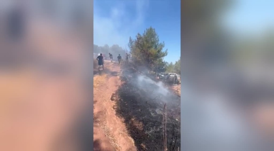 Bursa'da zeytinlikte yangın çıktı!