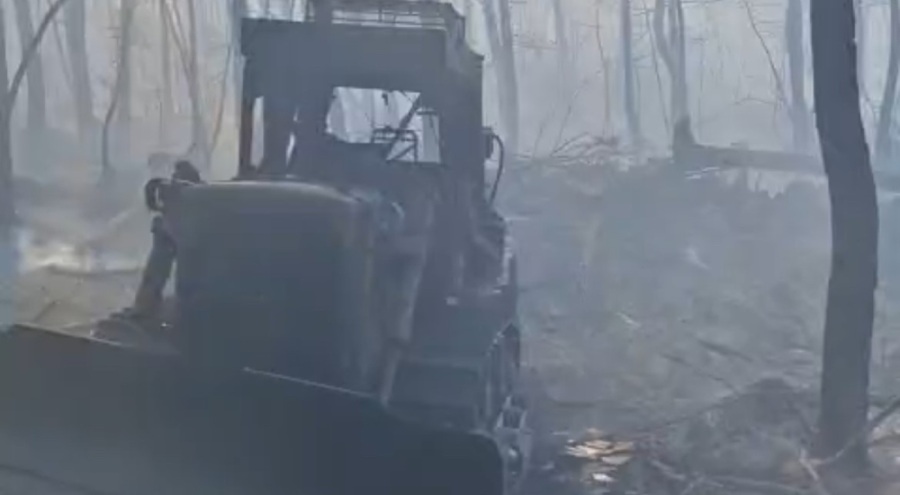 10 orman kahramanı burada şehit oldu