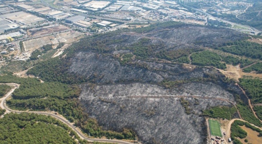 Türkiye'nin ciğerleri yanıyor! İzmir ve Bilecik afet bölgesi ilan edildi