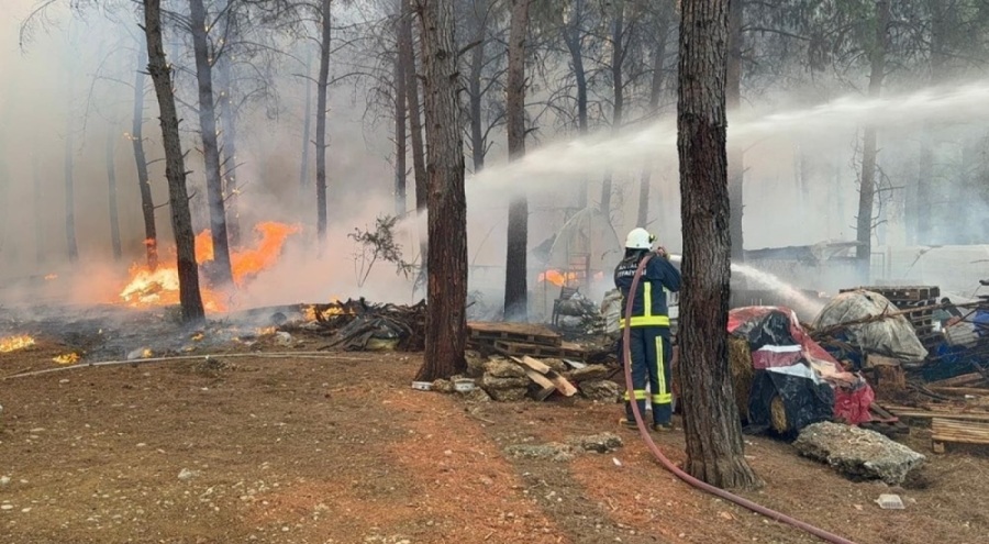 Bakan Yumaklı'dan orman yangınları dair açıklama!