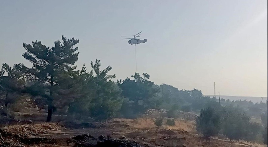 Mersin'de çıkan orman yangınına müdahale ediliyor