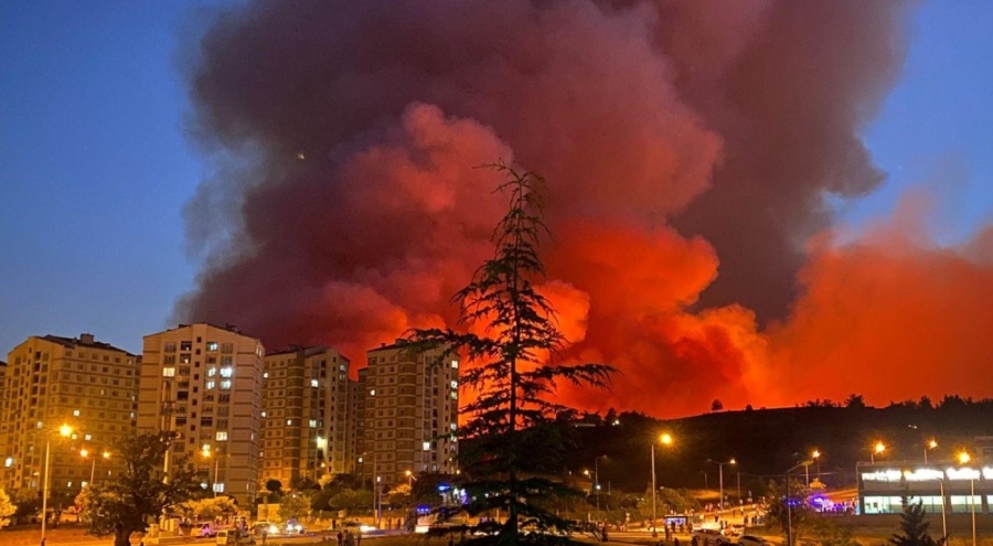 Büyükşehir Belediyesi'nden orman yangınları ile ilgili açıklama