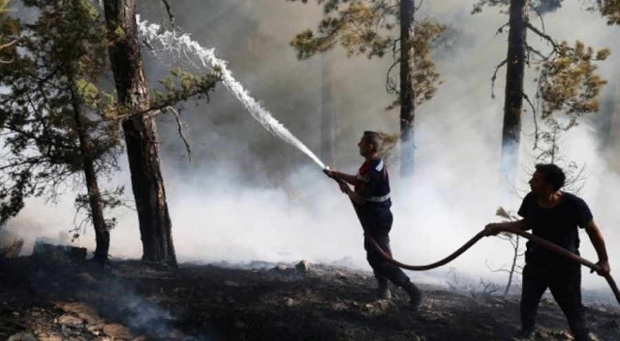 Bakan Tunç açıkladı: Yangınlarla ilgili 17 kişi tutuklandı