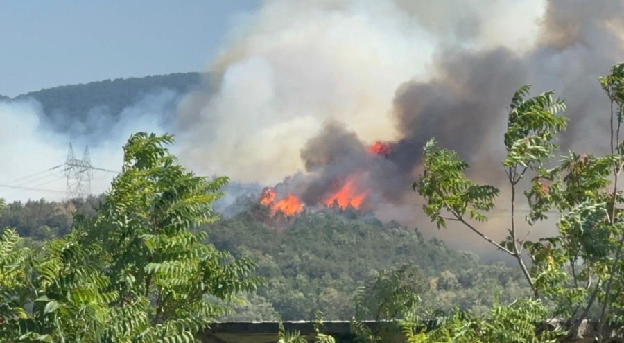 Düzce - Sakarya sınırında orman yangını