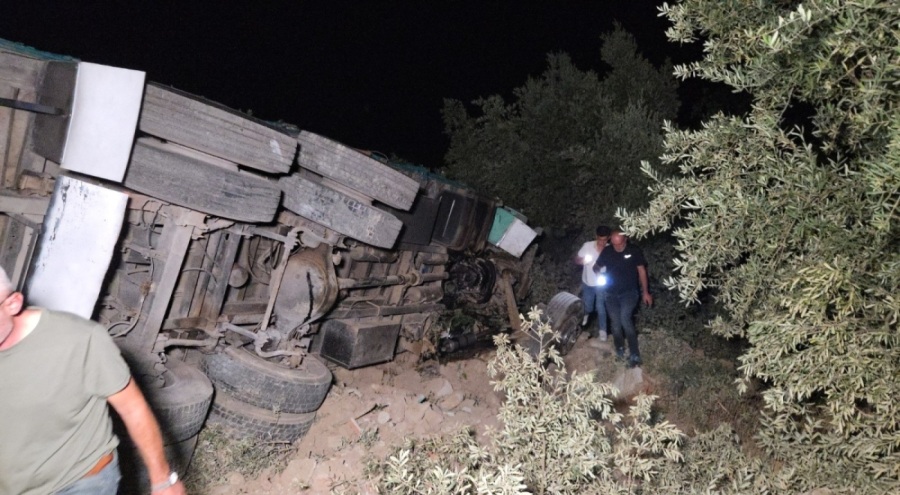 Bursa'da biber yüklü kamyon zeytinliğe uçtu: 1 yaralı