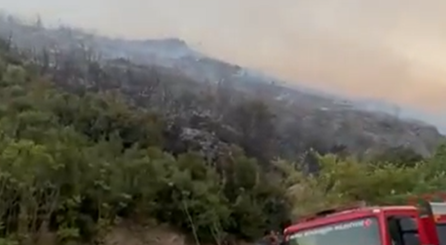 Bursa'daki yangınlarda son durum! Büyükşehir'den yeni açıklama