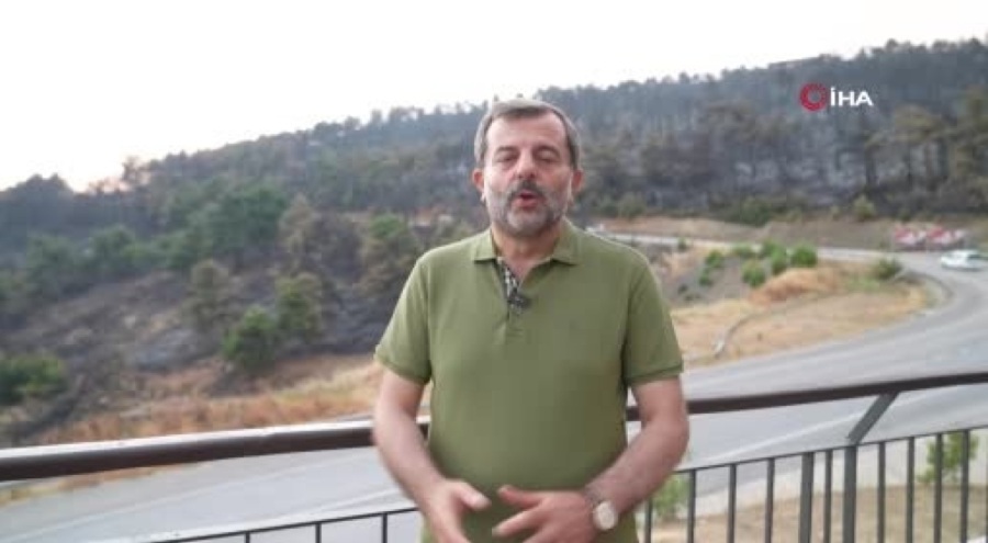 Gürsu'da ağaçlandırma seferberliği için devlet adım atacak
