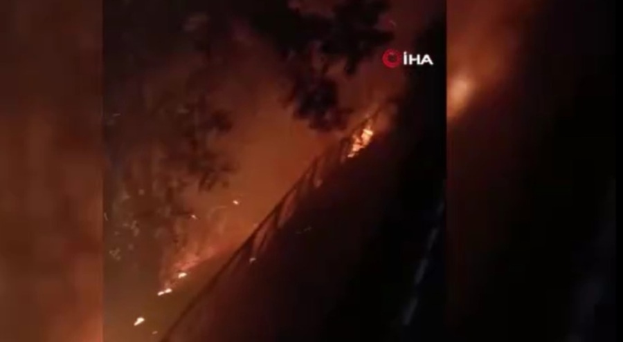 Bursa'da havai fişekle yangın çıkaran 4 şahıs gözaltına alındı!